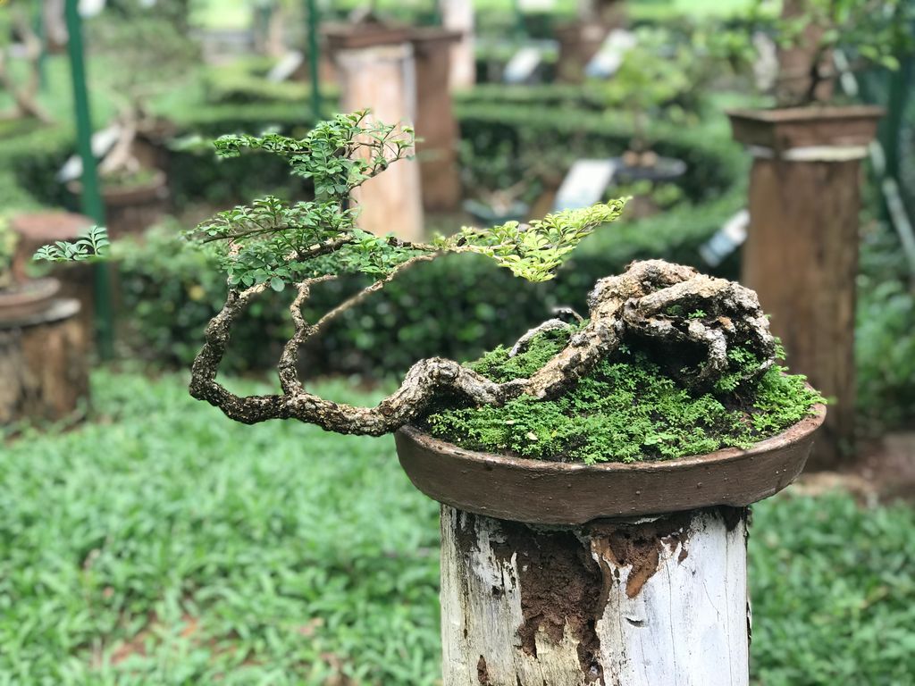 Thiết kế nội thất căn hộ 1 phòng ngủ: tối ưu diện tích nhỏ 1 Thiet ke noi that can ho 1 phong ngu hien dai